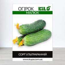 Насіння огірка бджолозапильного Малюк, 100г