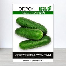 Насіння огірка бджолозапильного Засолочний, 100г