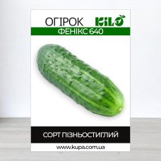 Насіння огірка бджолозапильного Фенікс 640, 100г