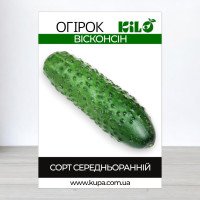 Насіння огірка бджолозапильного Вісконсін, 100г