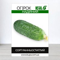 Насіння огірка бджолозапильного Надійний, 100г