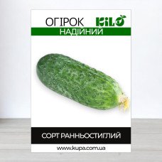 Насіння огірка бджолозапильного Надійний, 100г