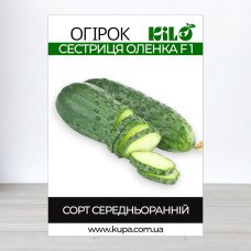 Насіння огірка бджолозапильного Сестриця Оленка F1, 100г