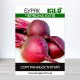 Насіння буряку столового Червона Куля, 100г