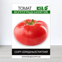 Насіння томату Волгоградський 595, 100г