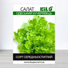 Насіння салату Одеський Кучерявець, 100г
