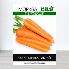 Насіння моркви Перфекція, 1кг
