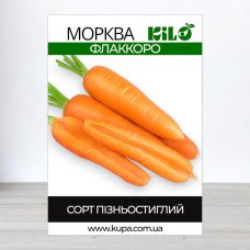 Насіння моркви Флаккоро, 1кг