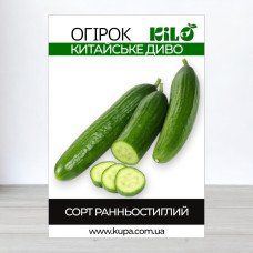 Семена огурца бджолозапильного Китайське Диво, 0,5кг