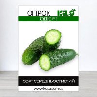 Насіння огірка бджолозапильного Одіс F1, 0,5кг