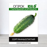 Насіння огірка бджолозапильного Паризький Корнішон, 0,5кг