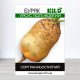 Насіння буряку кормового Урсус Полі Жовтий, 0,5кг