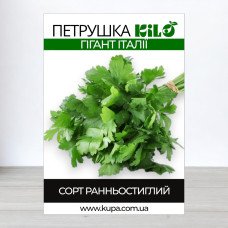Семена петрушки листовои Гигант Италии, 0,5кг