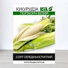 Семена кукурузы Попкорн Белый, 1кг