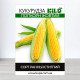 Насіння кукурудзи Попкорн Жовтий, 1кг