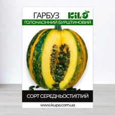 Насіння гарбуза Голосімянний Бурштиновий, 0,5кг