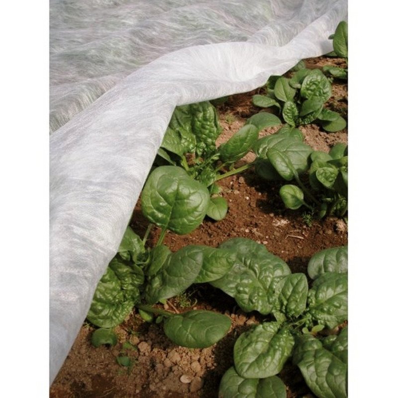 Агроволокно біле Agreen, рулон, щільність 30г/м.кв, ширина 3,2м, довжина 25м