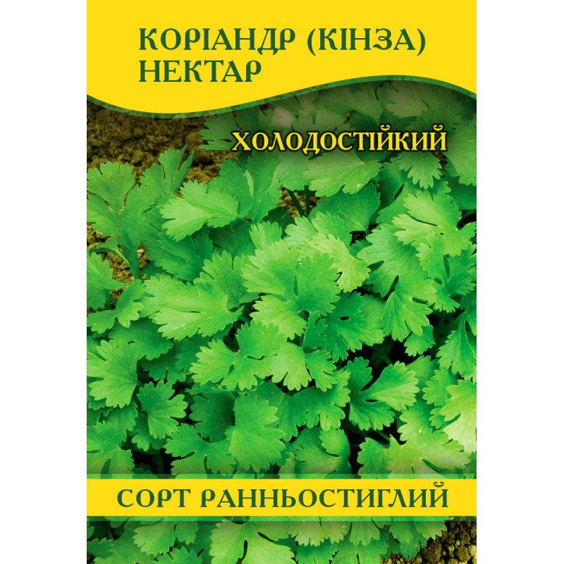 Насіння коріандра Кінза Нектар, 1кг