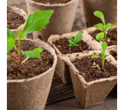 Для вирощування розсади