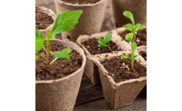 Для вирощування розсади