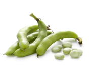 Насіння бобів