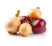 Насіння цибулі