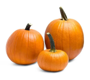 Насіння гарбуза