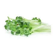 Насіння мікрозелені