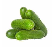 Насіння огірка