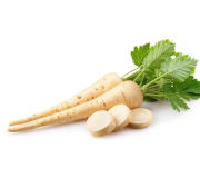 Насіння пастернаку