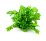 Насіння петрушки