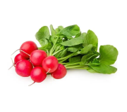 Насіння редису