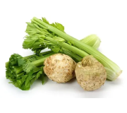 Насіння селери