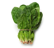 Насіння шпинату