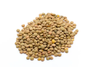 Насіння сочевиці