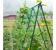 Огіркові сітки