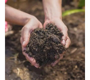 Субстрати, грунти, торф