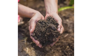 Субстрати, грунти, торф