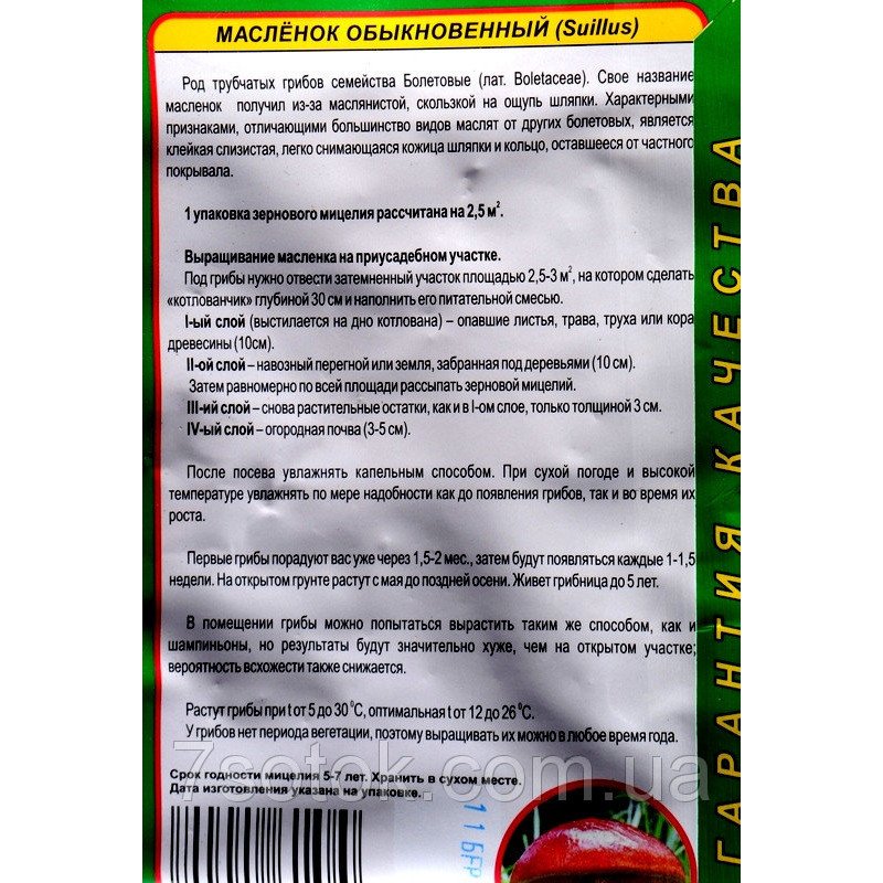 Гриб Міцелій Маслюки Звичайні, 10г